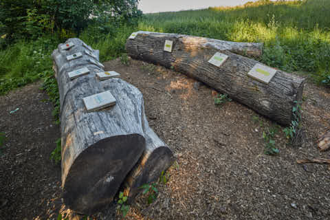 Gemeinde Altötting Landkreis Altötting Gries Mörnbach Natur-Erlebnispfad (Dirschl Johann) Deutschland AÖ